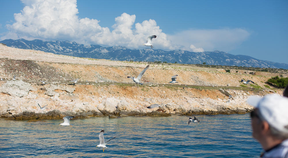 Boat tour to Island of Rab and fiord Zavratnica
