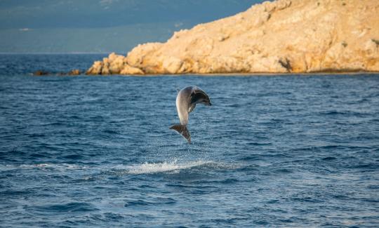 Boat trip to Golden Beach and Blue Cave from Punat