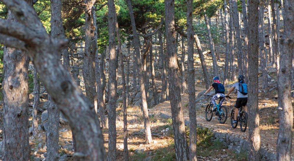 E-Bike Tour to the Moon