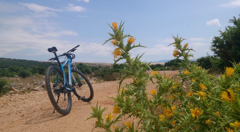 E-Bike Tour zum Mond