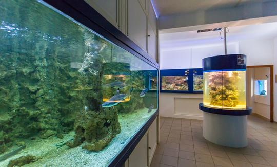 Tropical Aquarium Krk