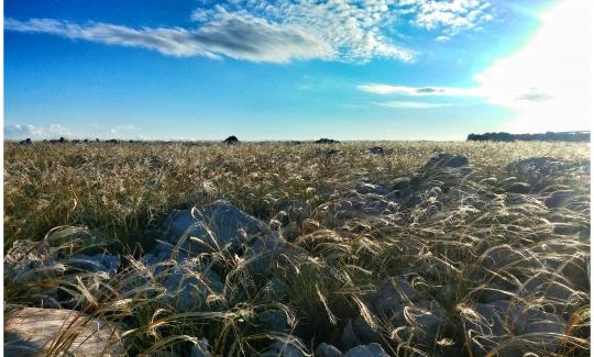 E-Bike Tour to the Moon
