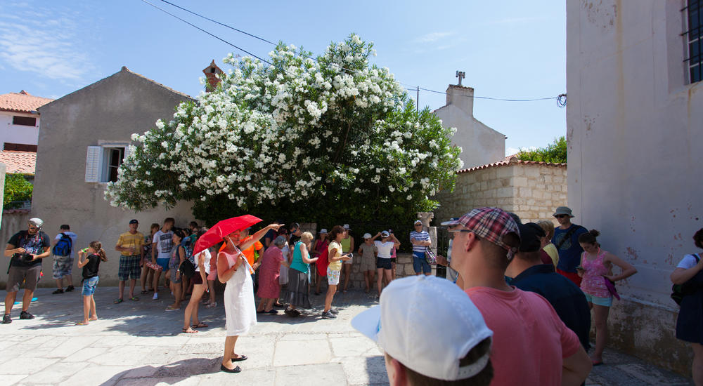 Boat tour to Island of Rab and fiord Zavratnica