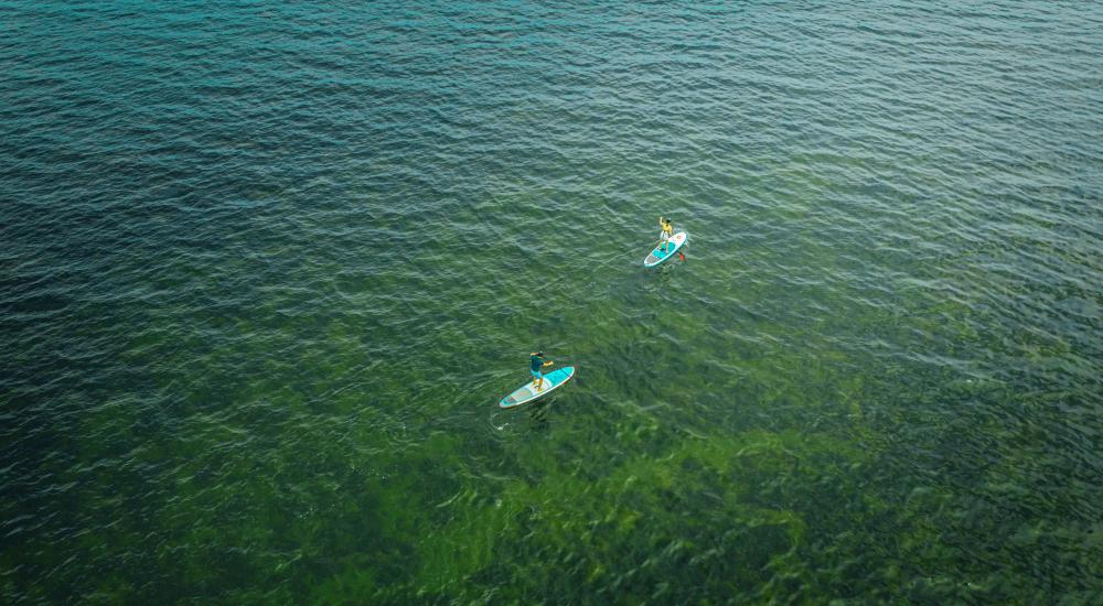 Rent a SUP Board in Baška