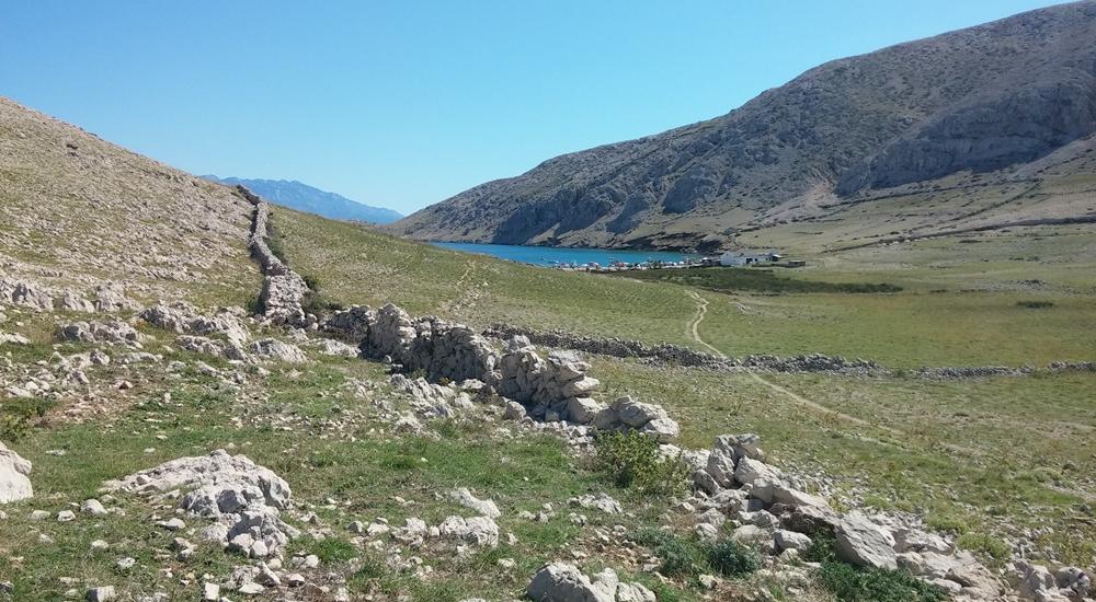 Nuoto e Snorkeling Tour a Vela Luka Beach