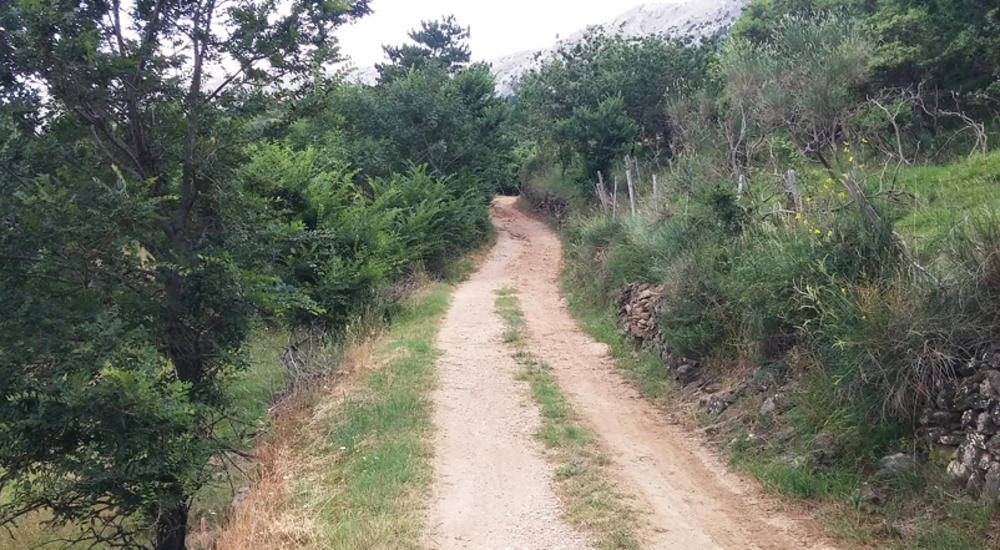 Facile tour in e-bicicletta in campagna a Baška