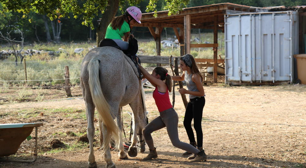 Horseback riding in a circle for children
