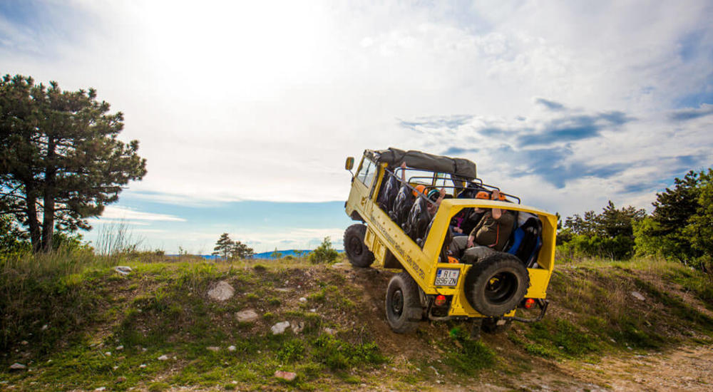 Zipline - Il Canopy Tour con 7 Lines