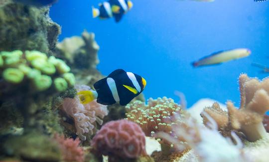 Tropical Aquarium Krk