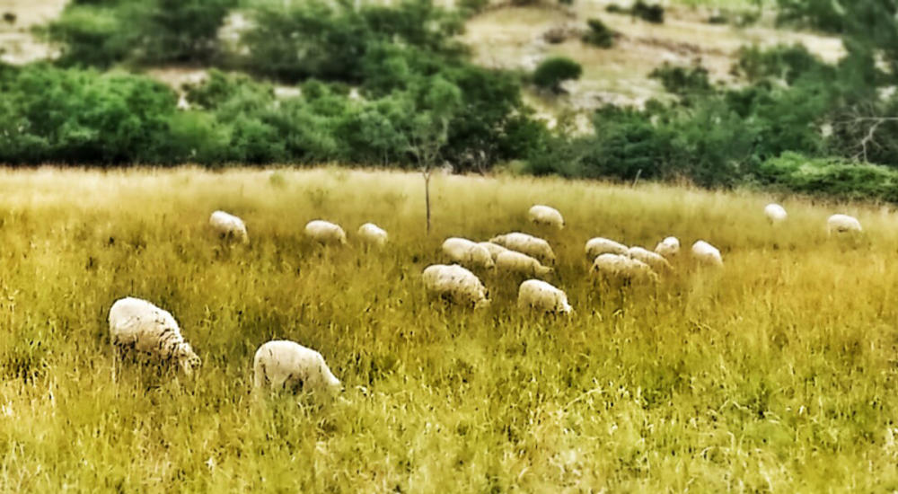 Easy Countryside e-Bike Tour in Baška