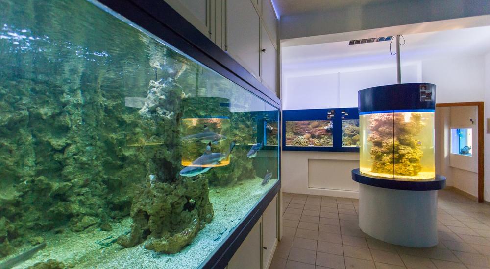 Tropski akvarij u gradu Krku