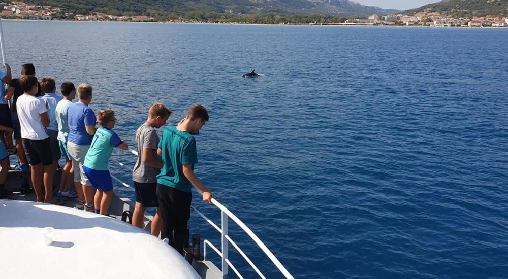 Boat tour to islands of Goli, Grgur, Rab and Prvić