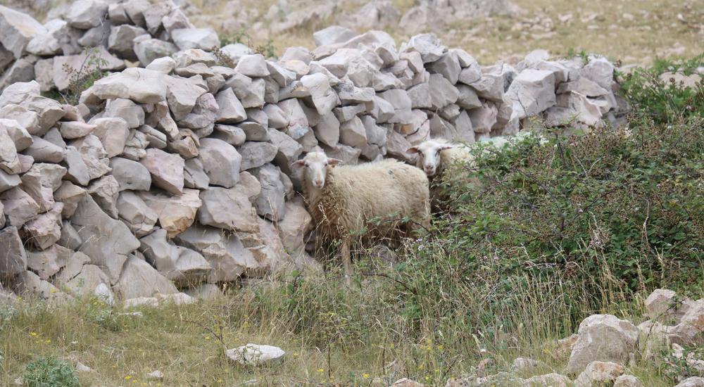 Noleggio di montagna elettrica eBike a Baška