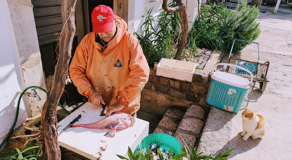 La pesca Tour con il pescatore locale