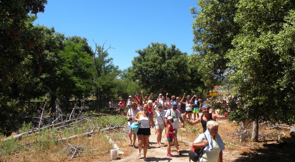 Escursione in barca a Isola di Goli, Grgur, Rab e Prvić