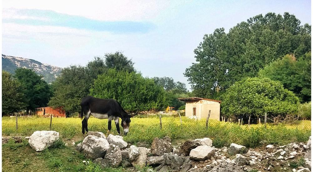 Facile tour in e-bicicletta in campagna a Baška