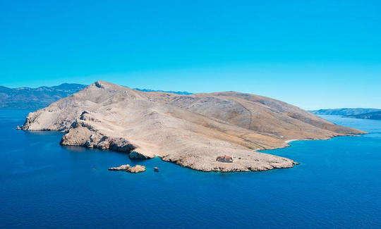 Robinson Island tour by kayak