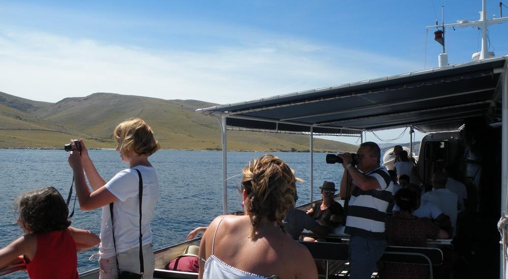 Boat tour to islands of Goli, Grgur, Rab and Prvić