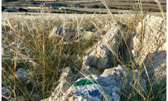 E-Bike Tour to the Moon