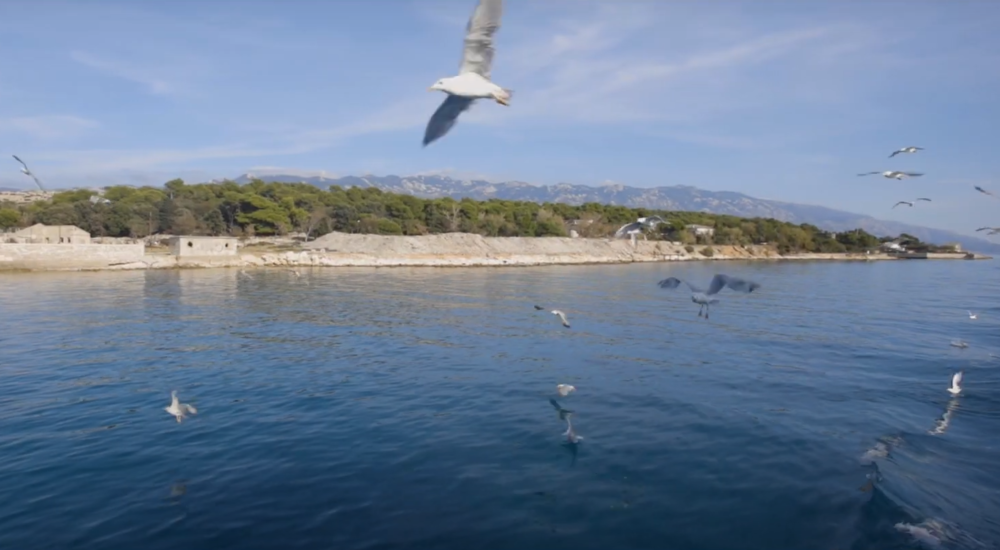 Isole 4 Escursione in barca - visita Rab, Goli, Grgur & Prvić