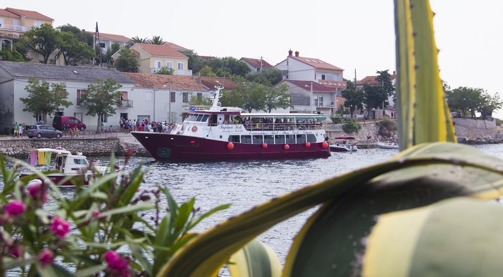 Boat trip to the islands of Rab and Pag from the city of Krk