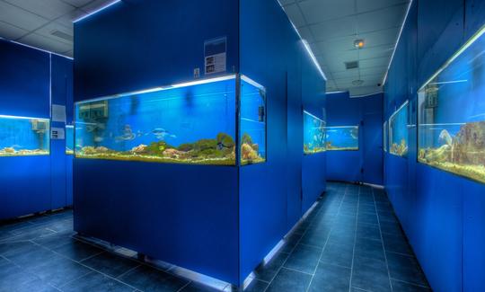 Adriatic Aquarium Baška