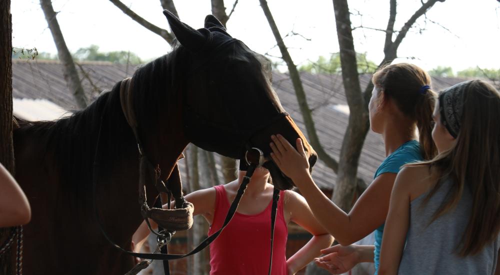 Horseback riding in a circle for children