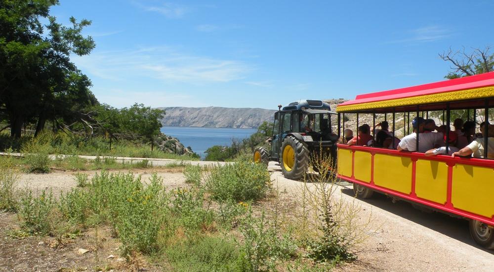 Boat tour to islands of Goli, Grgur, Rab and Prvić