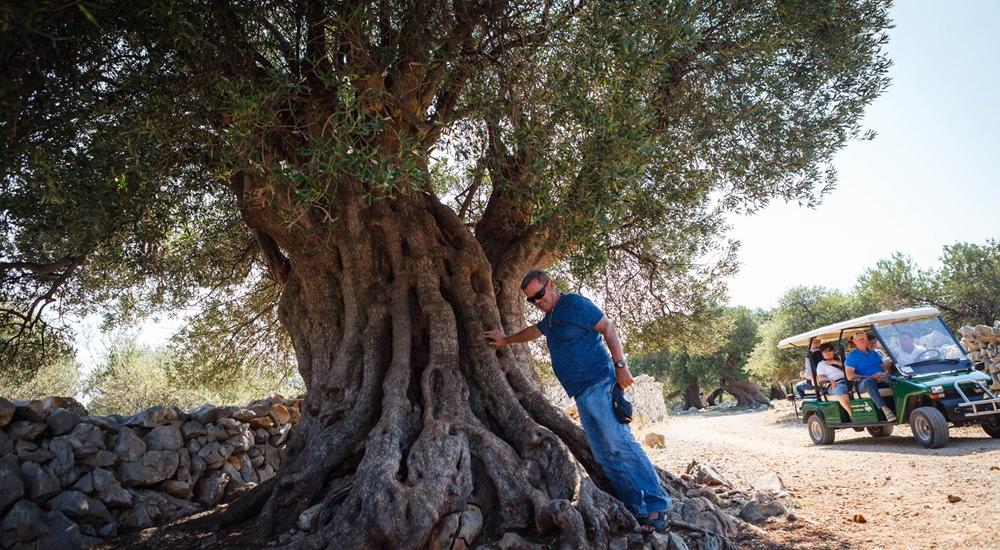 Gita in barca alle isole di Rab e Pag dalla città di Krk