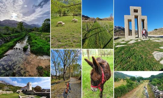 Easy Countryside e-Bike Tour in Baška